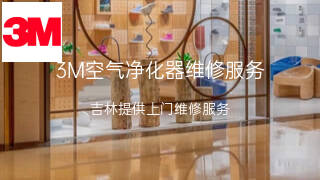 3M
