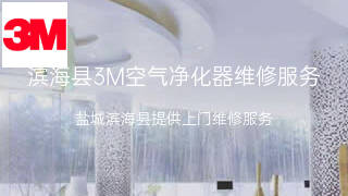 3M