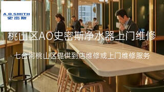 AO史密斯