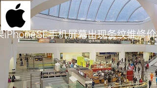 苹果iPhoneSE手机屏幕出现条纹维修价格 苹果iPhoneSE手机屏幕出现条纹维修价格