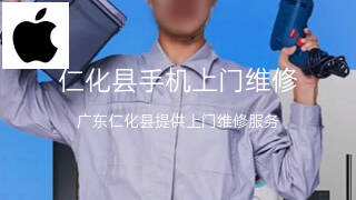 苹果