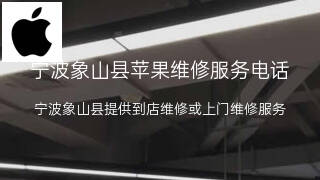 苹果