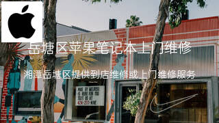 苹果