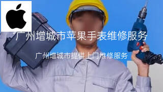 苹果
