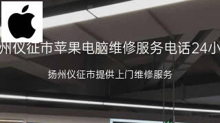 苹果
