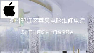 苹果