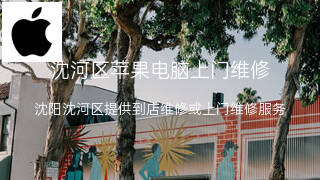 苹果