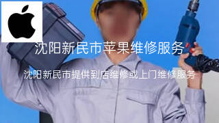 苹果