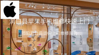 苹果