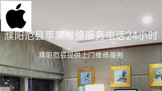 苹果