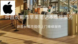 苹果