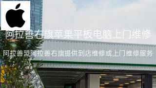 苹果