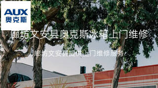 奥克斯