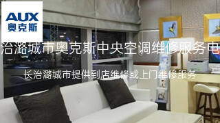 奥克斯
