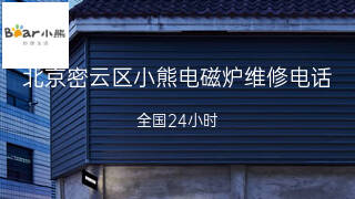 小熊