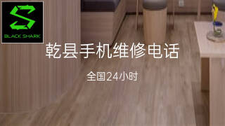黑鲨