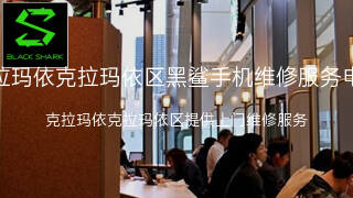黑鲨
