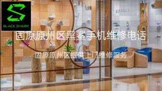 黑鲨