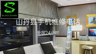 黑鲨