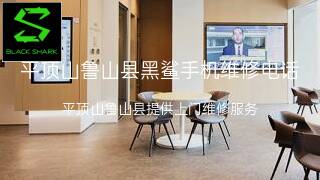 黑鲨