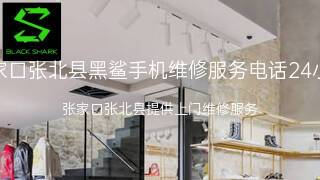黑鲨