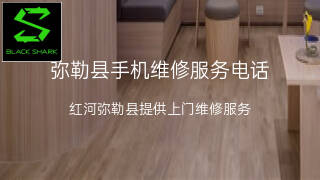 黑鲨