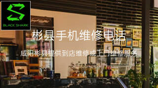 黑鲨