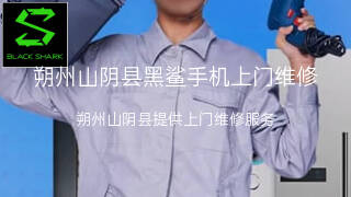 黑鲨