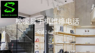 黑鲨