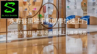 黑鲨