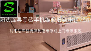 黑鲨