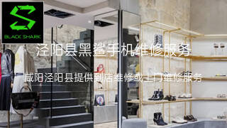 黑鲨