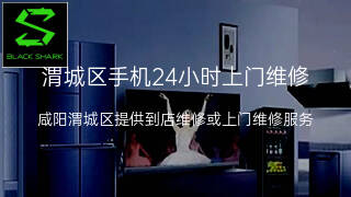 黑鲨