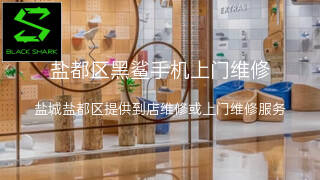 黑鲨
