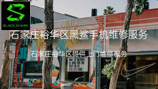 黑鲨