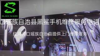 黑鲨