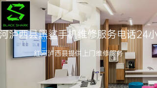 黑鲨