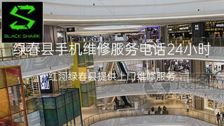 黑鲨