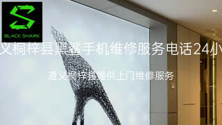 黑鲨
