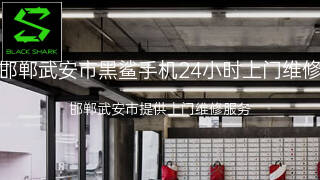 黑鲨