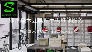 黑鲨