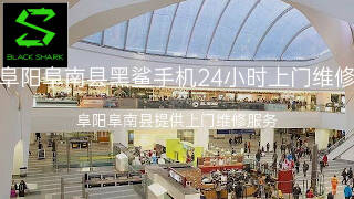黑鲨