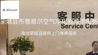布鲁雅尔