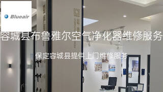 布鲁雅尔