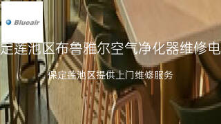 布鲁雅尔