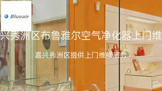 布鲁雅尔