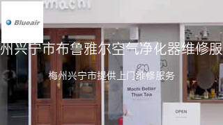 布鲁雅尔