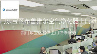 布鲁雅尔