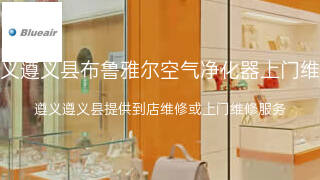 布鲁雅尔