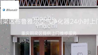 布鲁雅尔